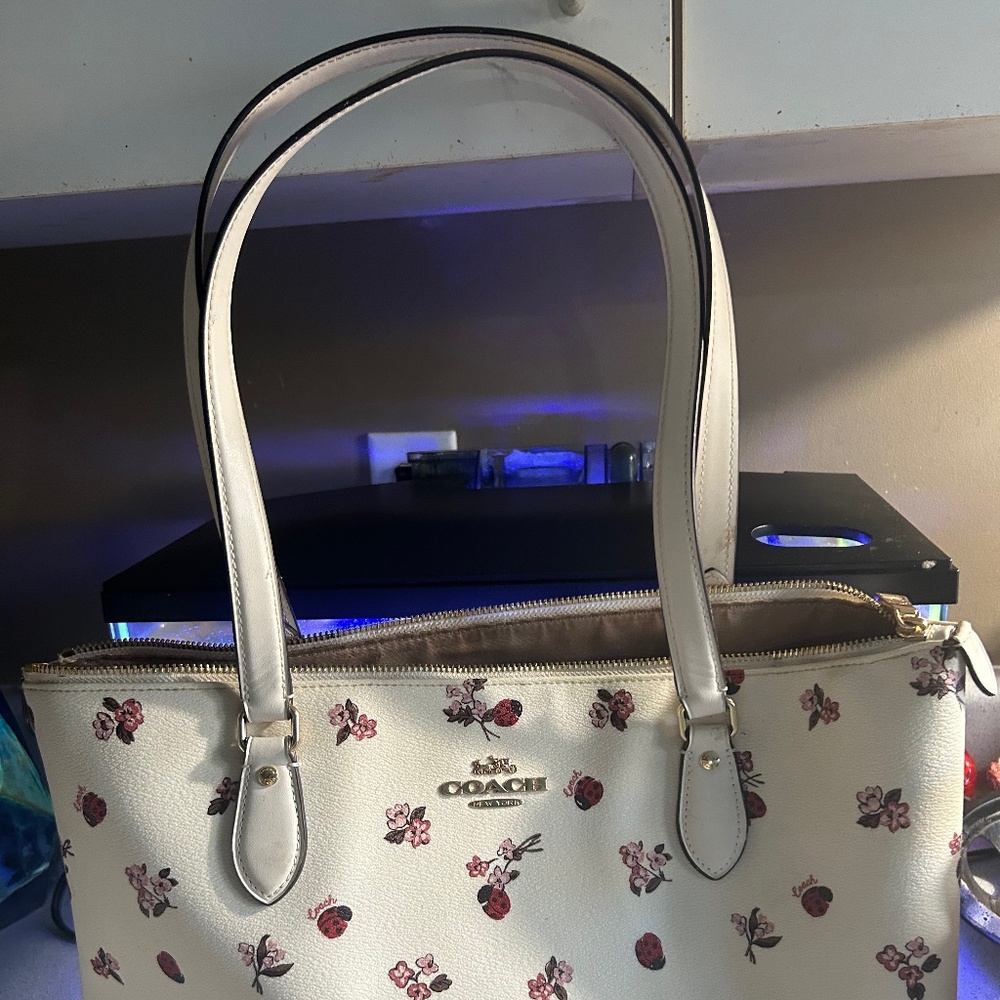 Coach Ladybug Purse